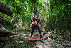 BIB: 
                            <button type="button" onclick="openModal(19393440)" class="btn btn-primary btn-sm float-right btn-popup" data-toggle="modal" data-target=".modal-high-quality">
                        <i class="fas fa-shopping-cart"></i> Add to Cart
                    </button>
                                            <button type="button" onclick="isThisMe(19393440, true)" class="btn btn-success btn-sm float-right btn-popup btn-isme hidden" data-toggle="tooltip" data-placement="bottom" title="นี่คือรูปของคุณใช่ไหม คลิกที่นี่เพื่อเอาเข้าอัลบั้ม">
                        <i class="fas fa-plus"></i> Add to album
                    </button>
                    <button type="button" onclick="isThisMe(19393440, false)" class="btn btn-warning btn-sm float-right btn-popup btn-isnotme hidden">
                        <i class="fas fa-ban"></i> Remove from album
                    </button>